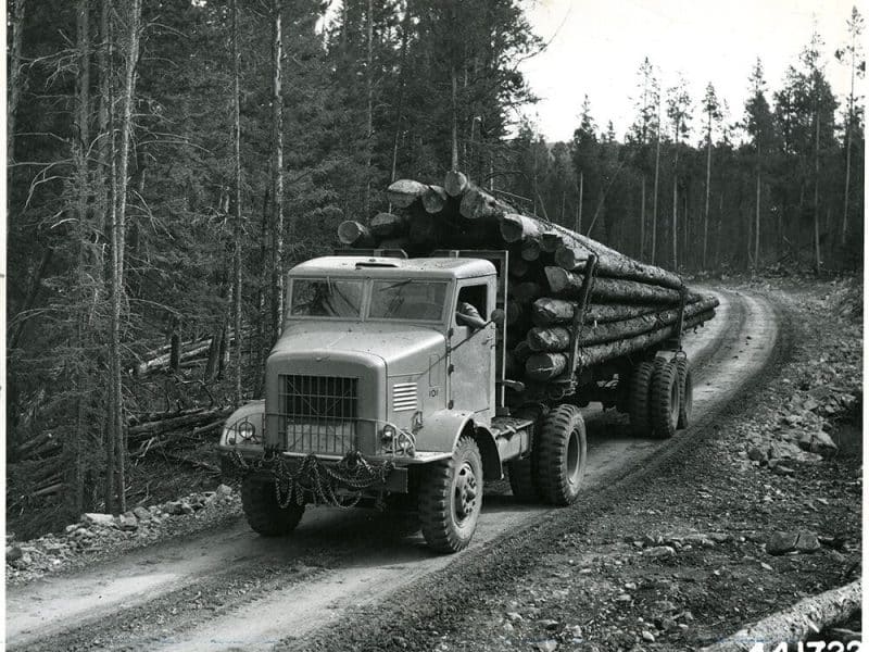 The dismantling of the Forest Service