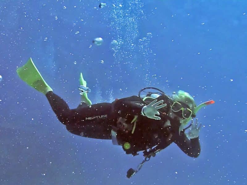 ‘How to Kill a Mermaid’