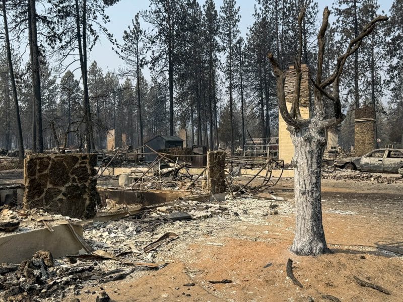 Suburbia can burn, too