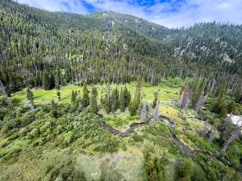 Sheep Creek mine makes strange bedfellows